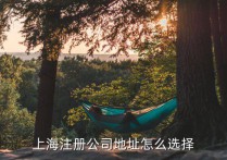 上海市公司注册地址要求上海注册公司地址怎么选择