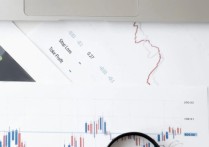 个人所得税税收筹划一般的费用是多少？