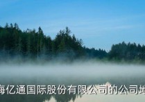 上海市政协经济委员会上海亿通国际股份有限公司的公司地址